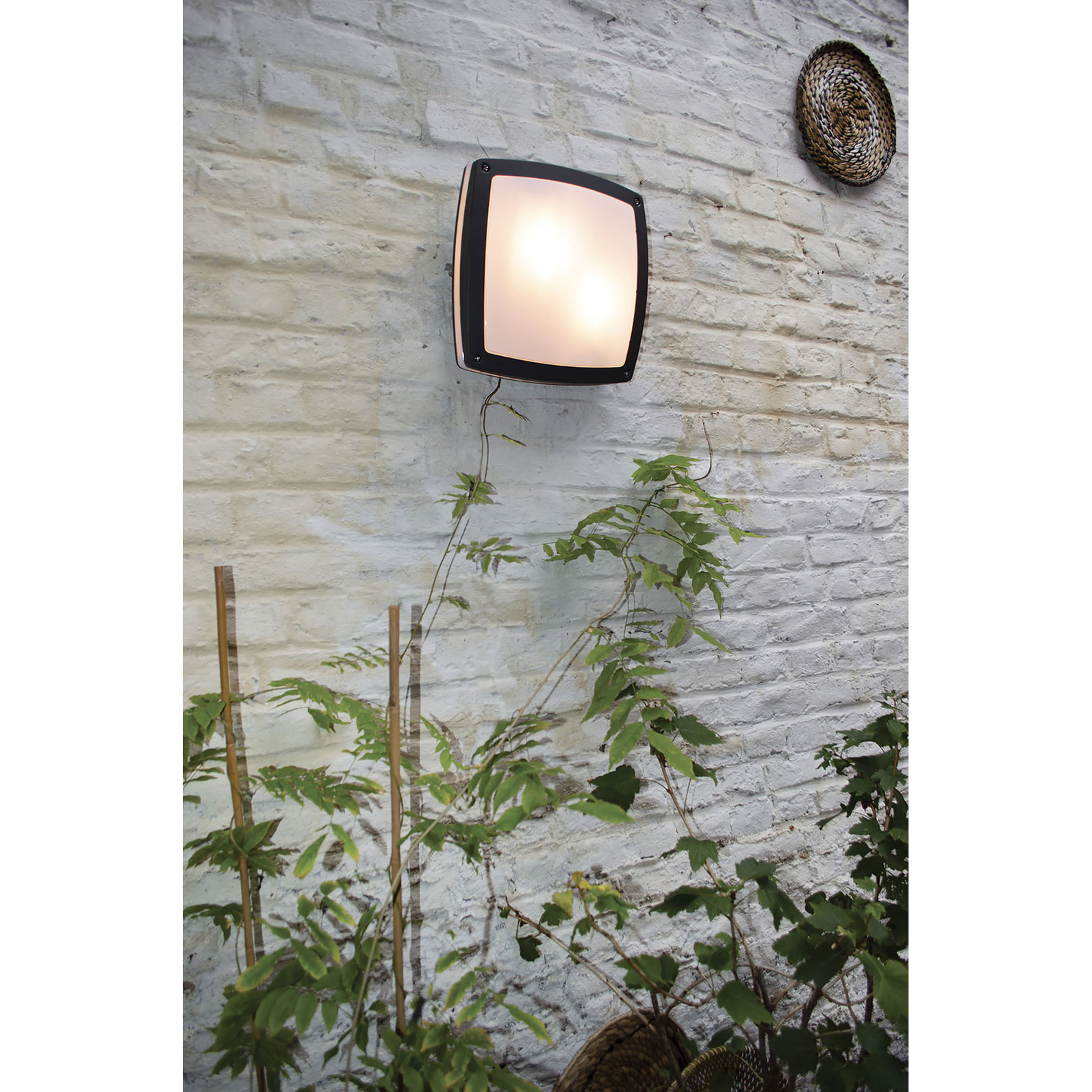 photo_complementaire_1_64108220