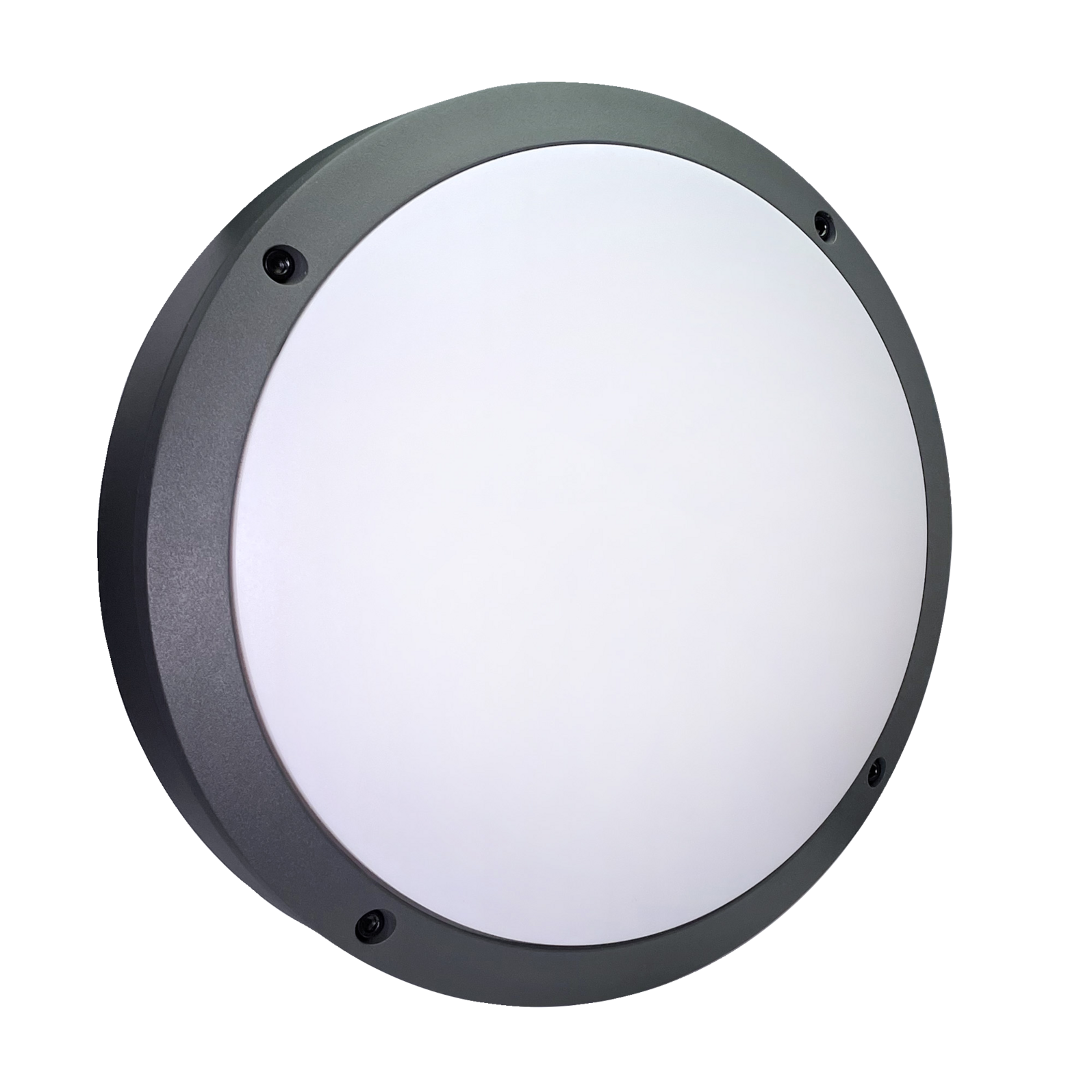 photo_principale_64110520