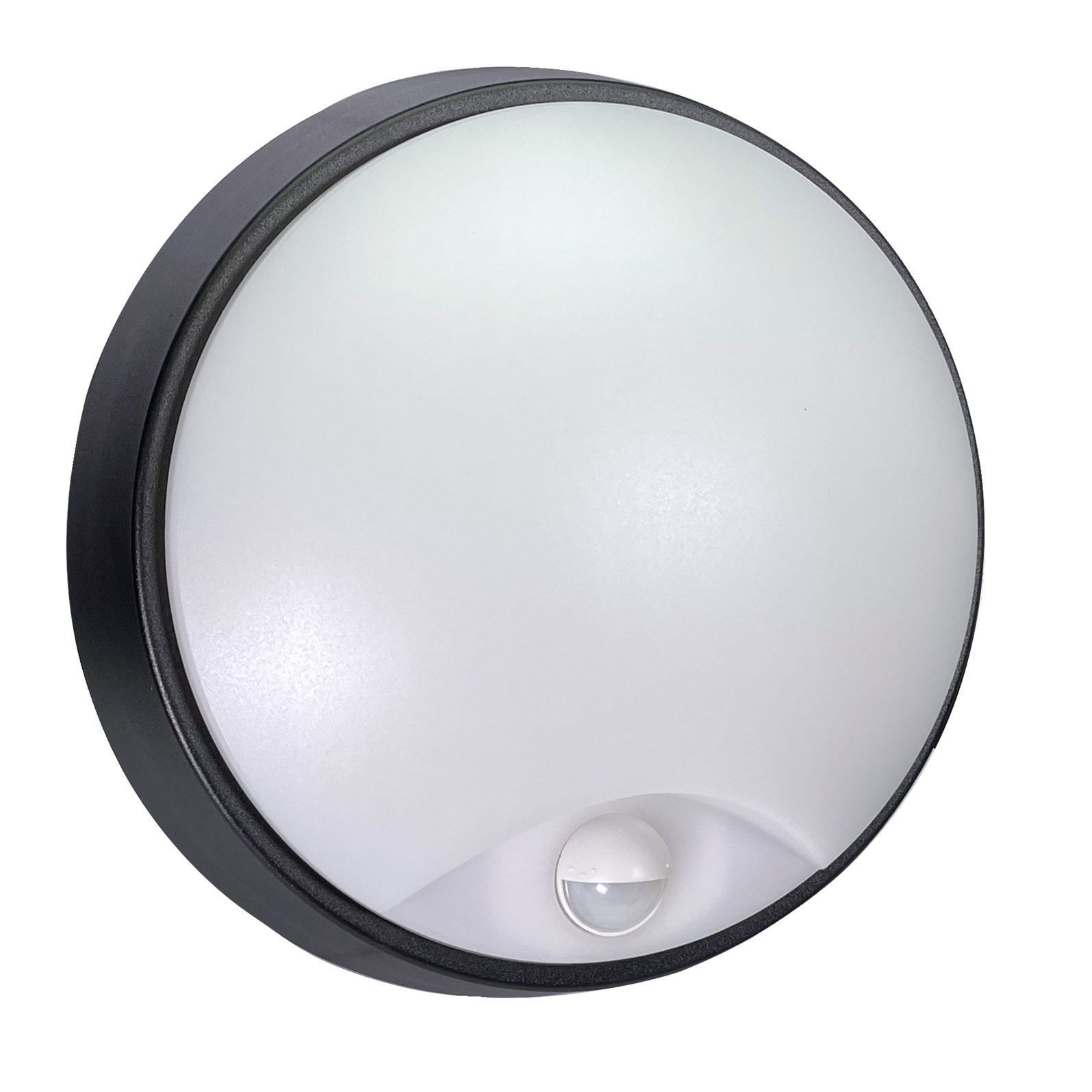 photo_principale_64172320