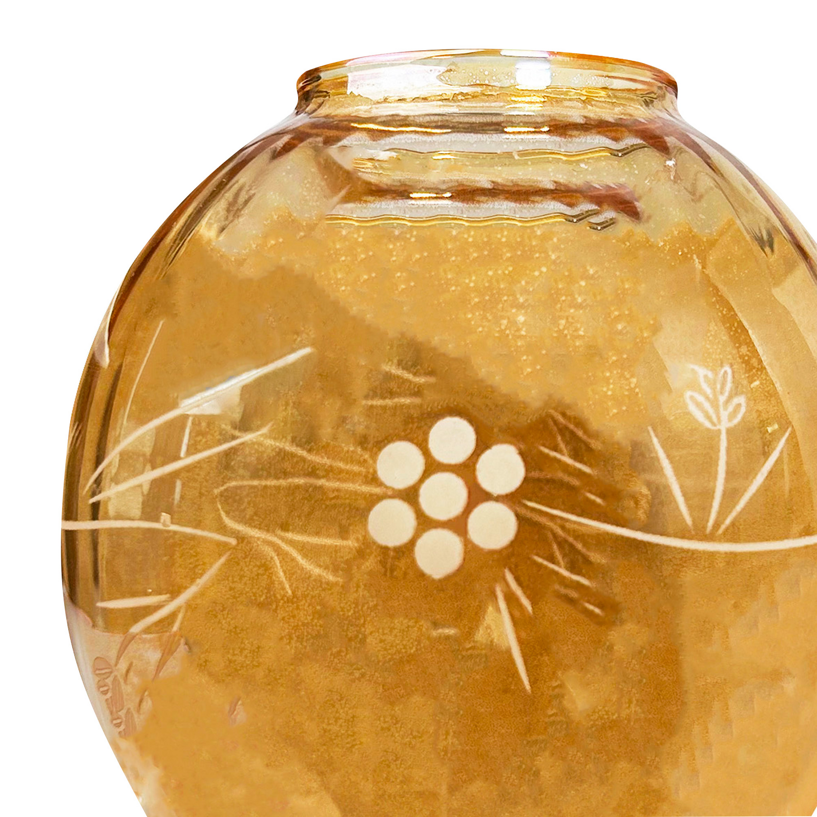 photo_complementaire_1_17910