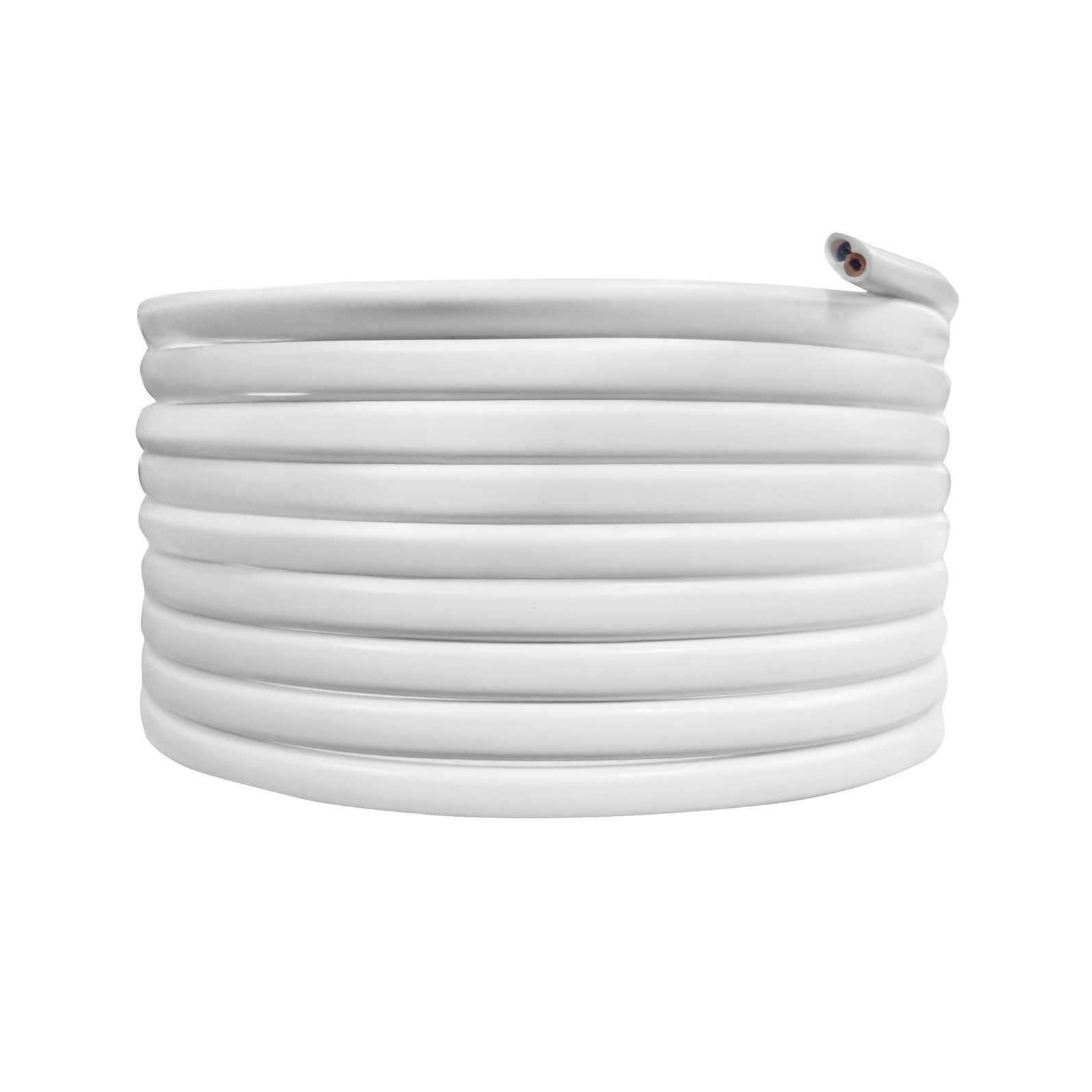 photo_de_face_121510