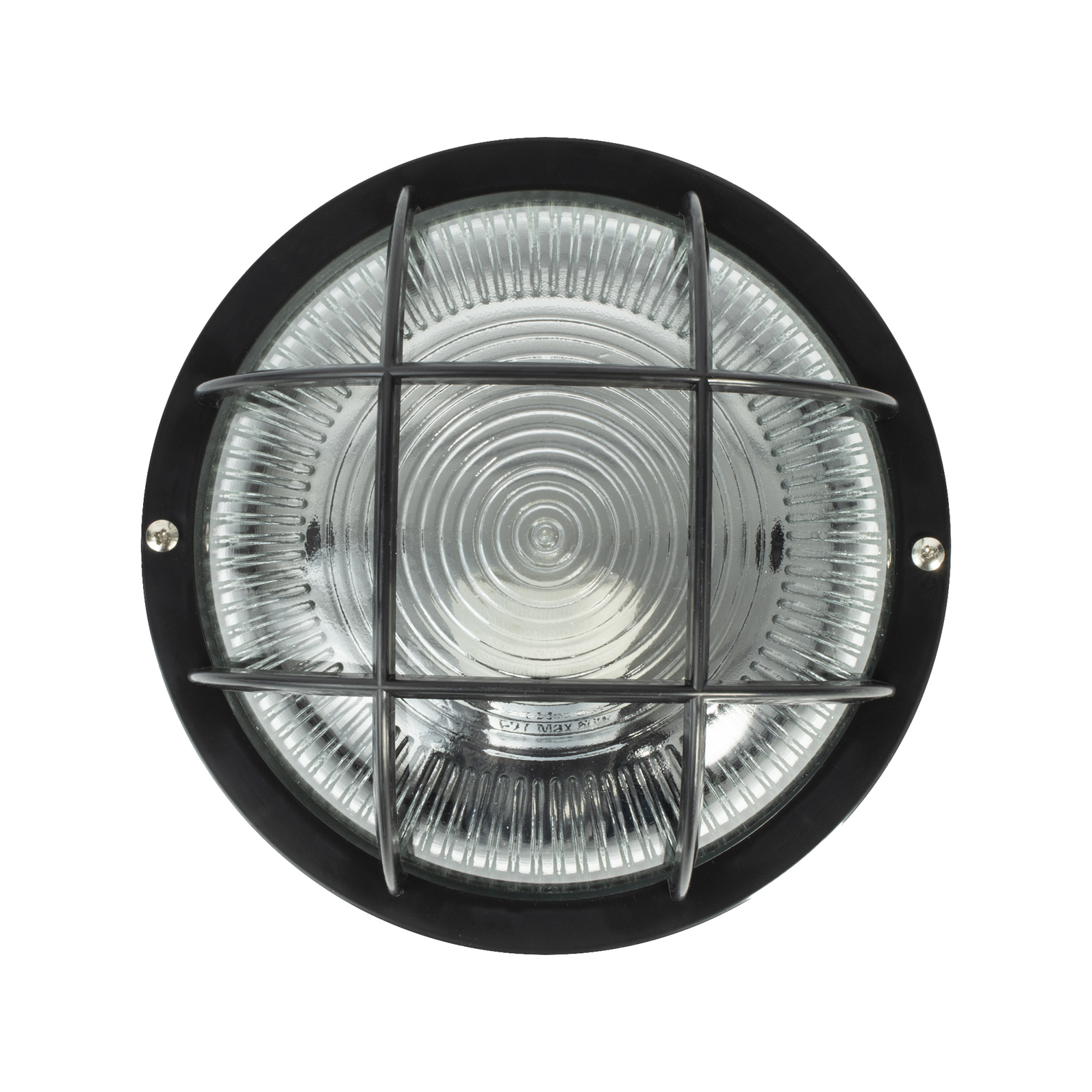 photo_de_face_340220