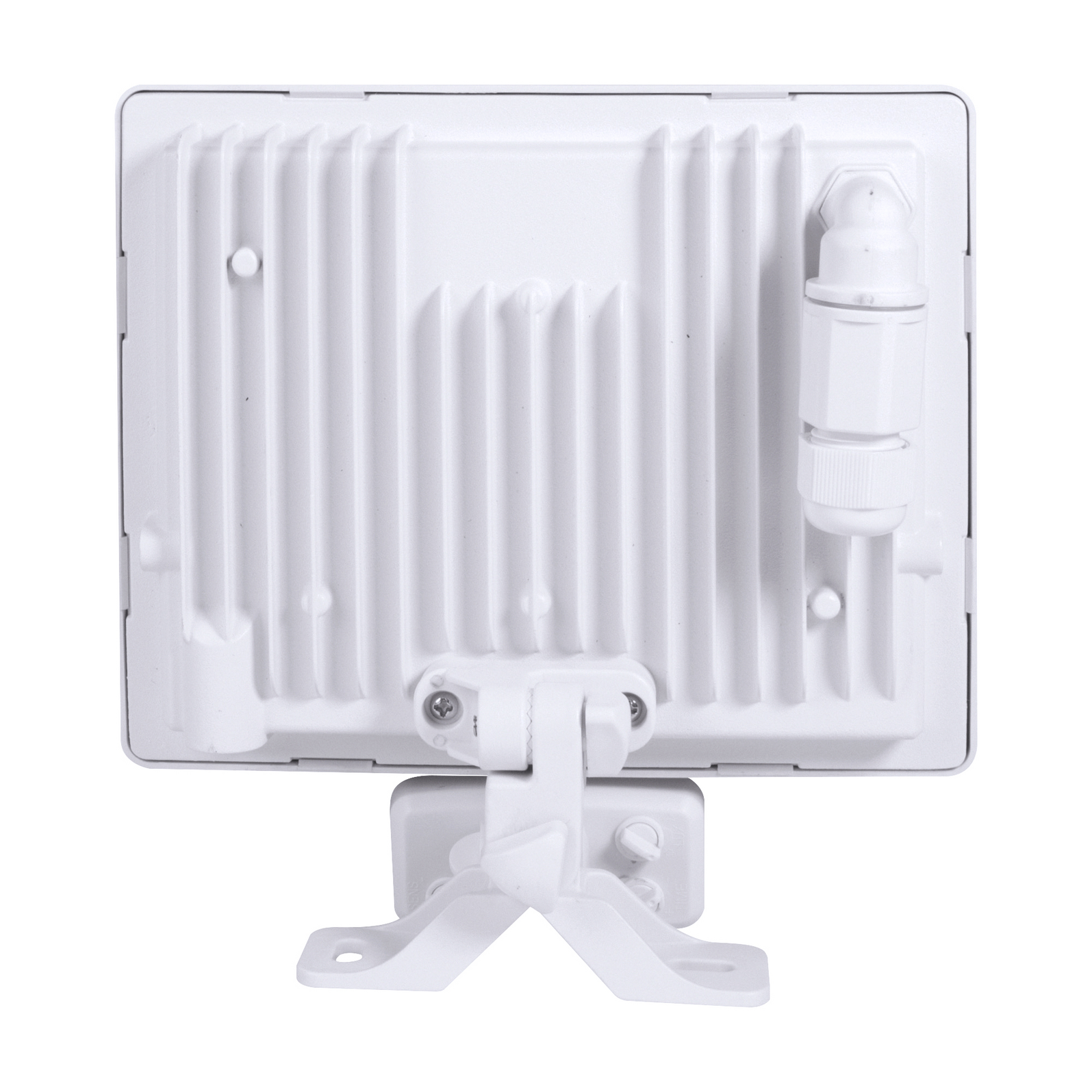 photo_arriere_345210