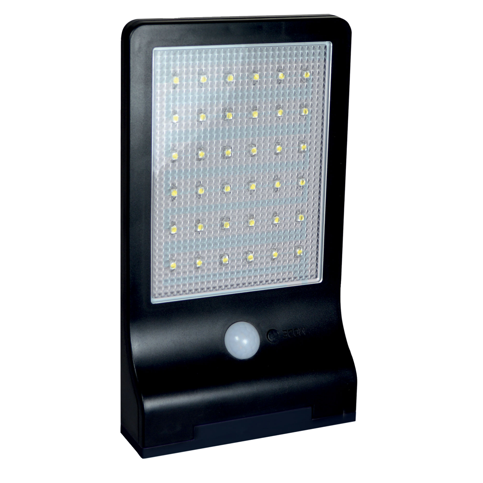 photo_de_face_355340