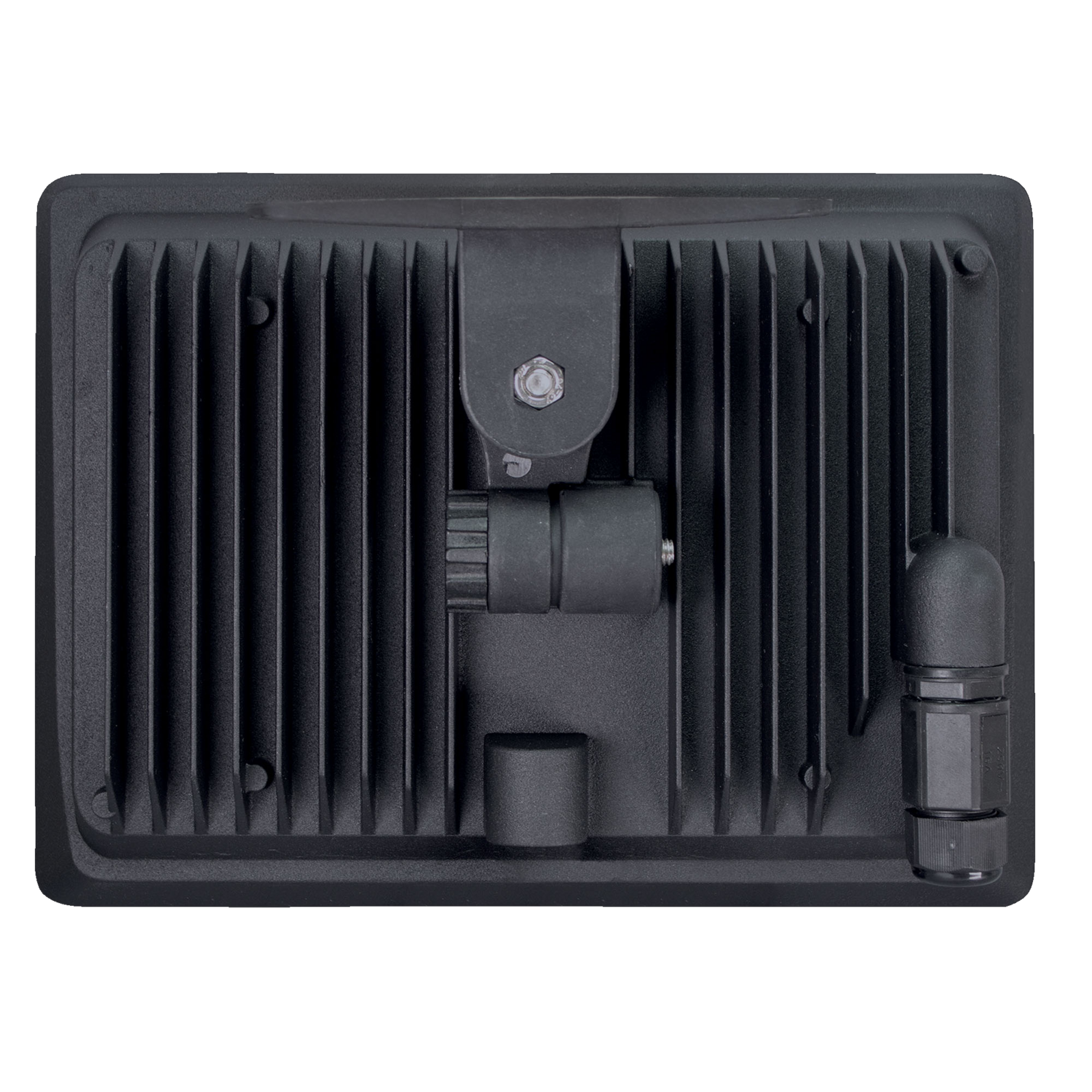 photo_arriere_358820