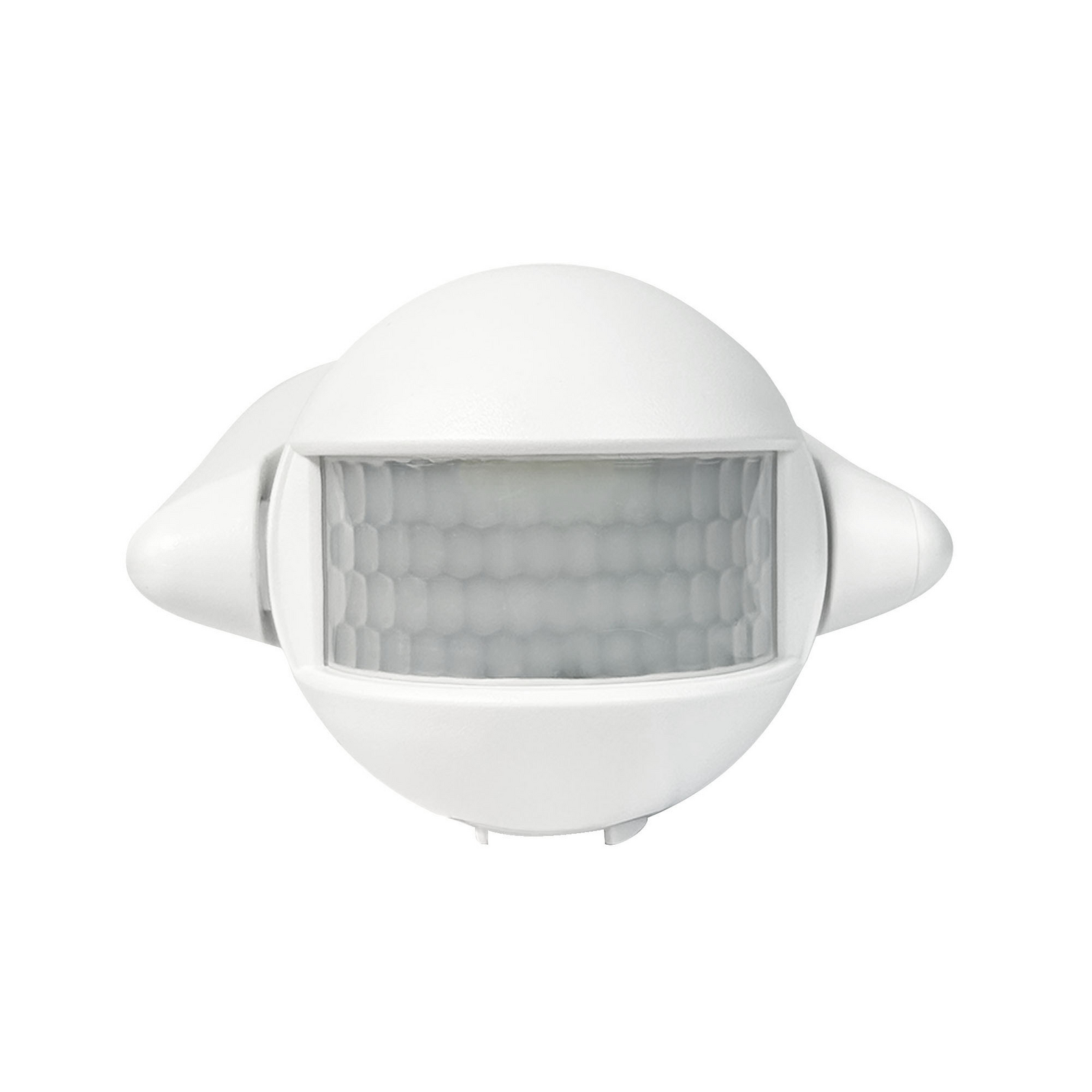 photo_de_face_579110