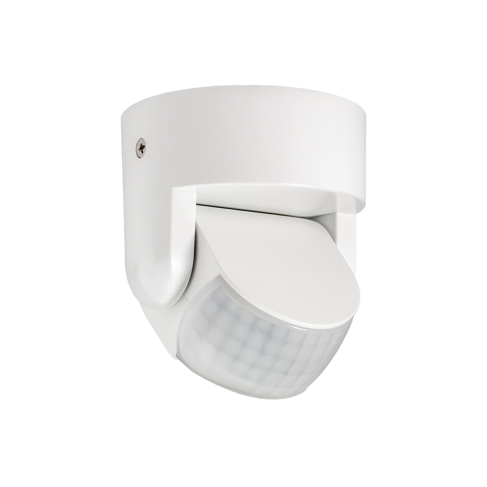 photo_arriere_579910