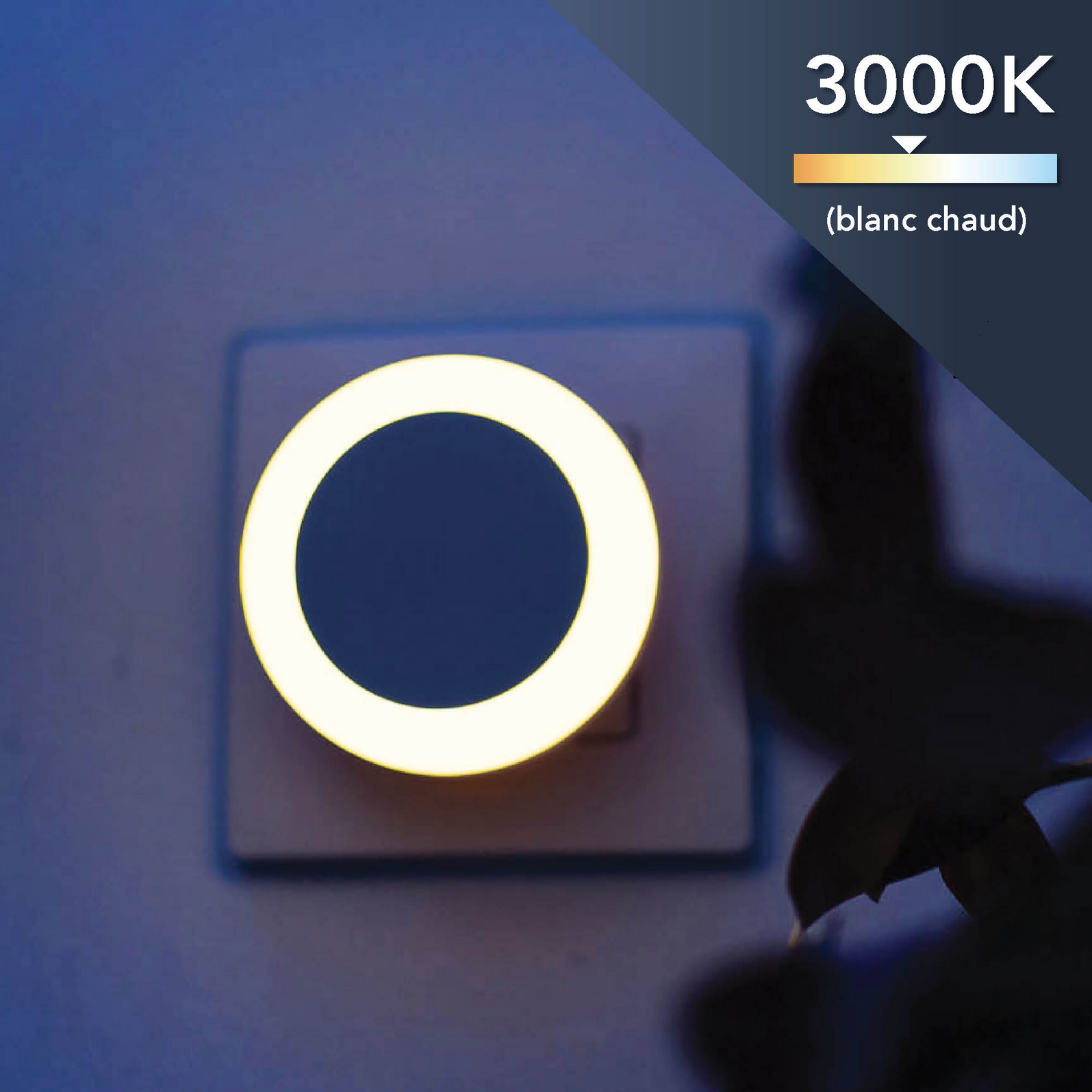 photo_de_situation_620410