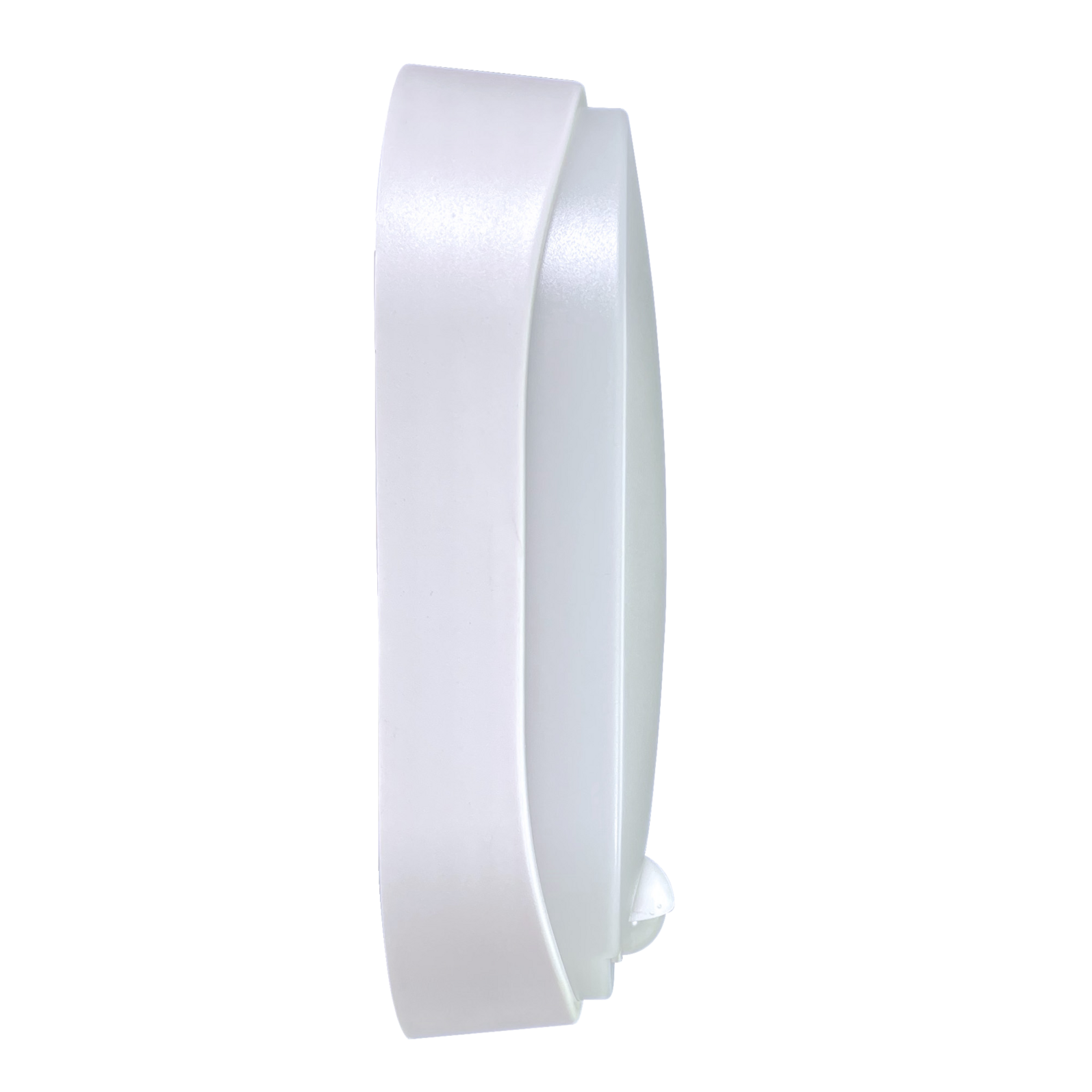 photo_de_profil_64160010