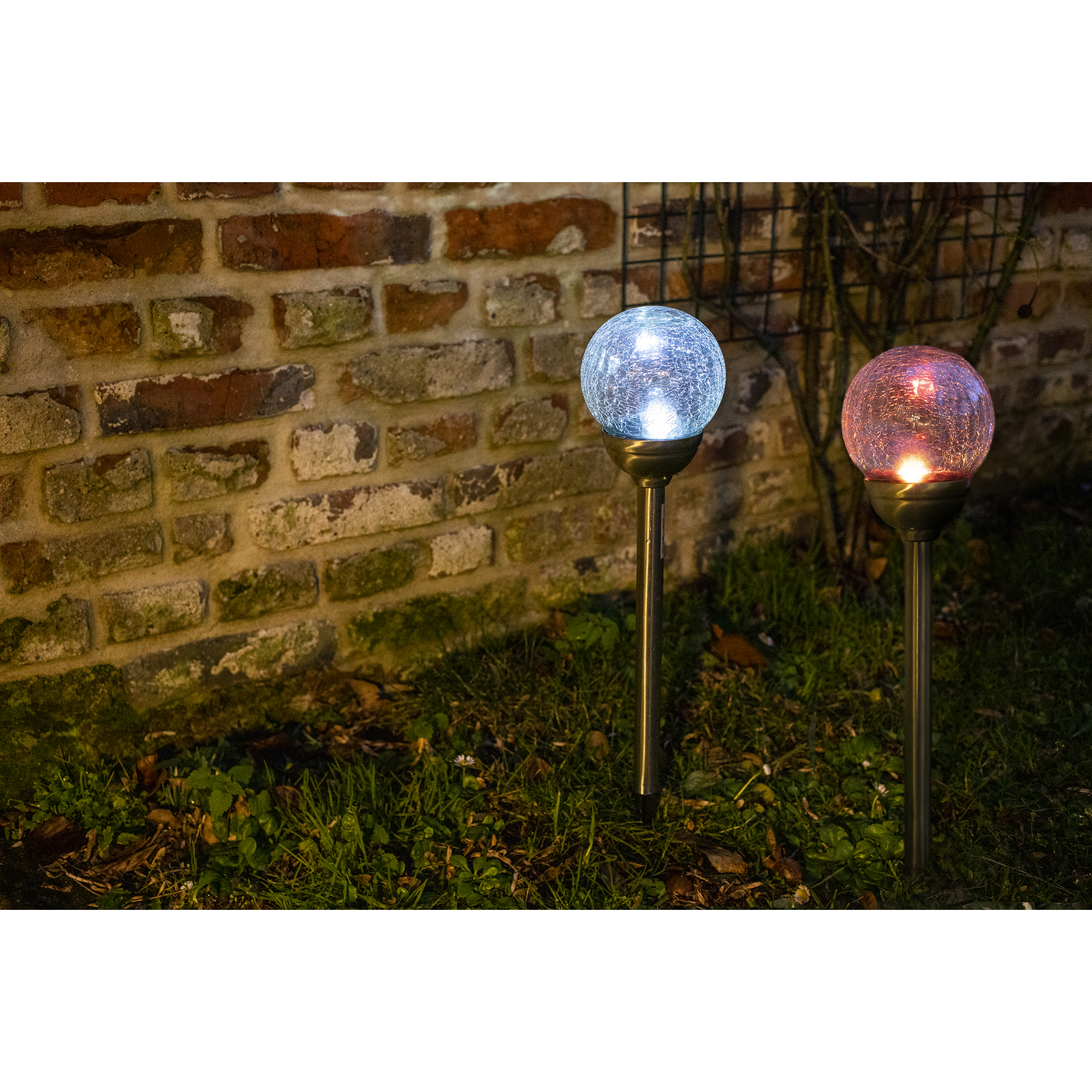 photo_complementaire_3_73100100