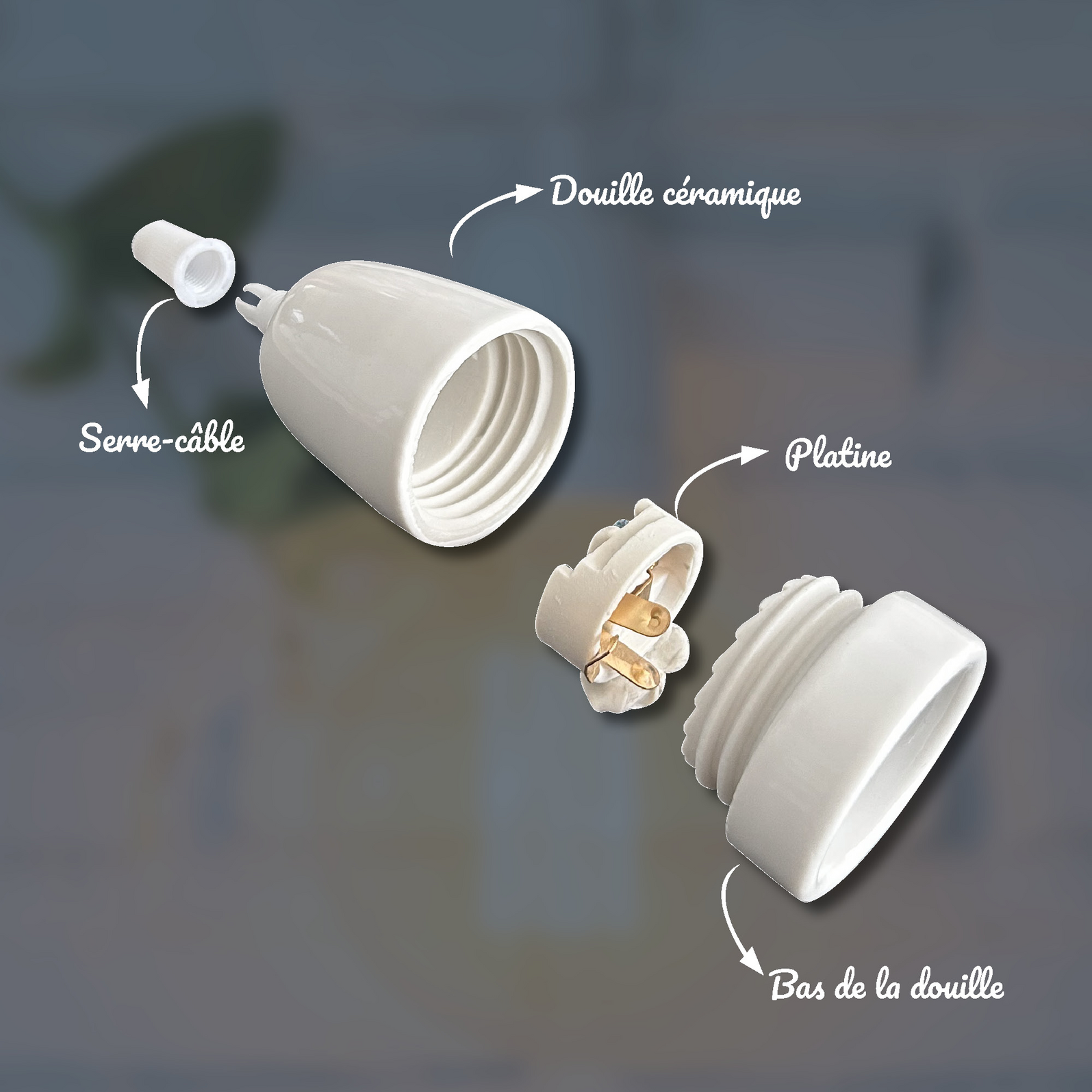 photo_accessoires_824410