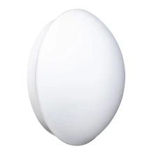 Hublot CAPELLA sans ampoule E27 60W max détecteur de mouvement tempo réglable IP44 diffuseur verre blanc (extérieur)