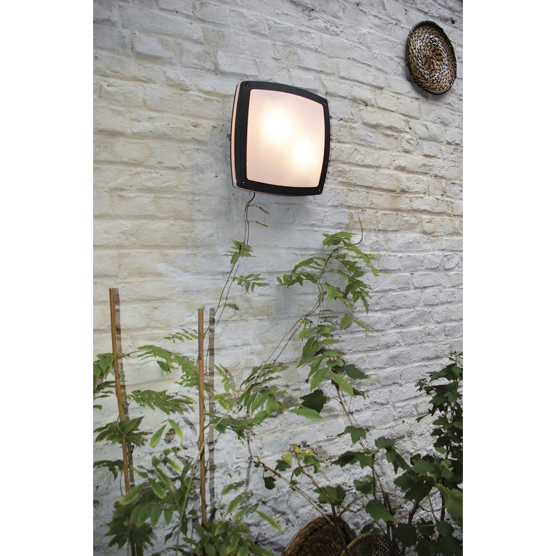 photo_complementaire_1