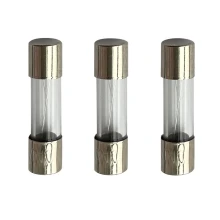 Lot de 3 fusibles verre 5x20 mm 1,6A 250V (protection électrique)